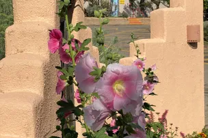Rancheros de Santa Fe Campground – photo 5