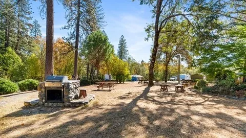 30/50 Amp Premium Back-In RV Site — image 2 of 2