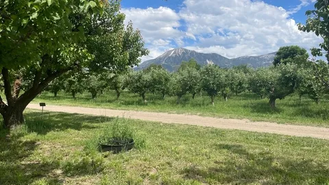 Apricot Lane Campsites — image 2 of 4