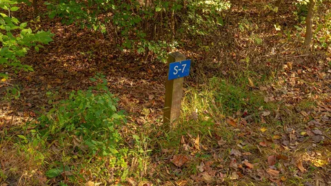 Tent Site with Electric — image 4 of 4