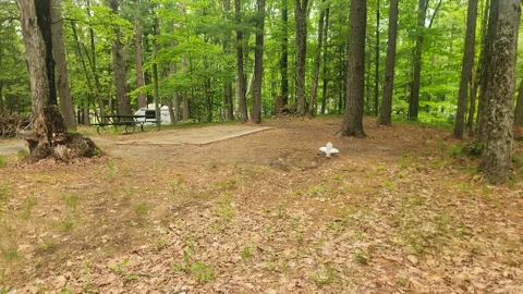 20/30/50 Amp Standard Full Hook-Up RV Site — image 1 of 1