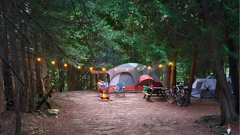 Campsite - Unserviced — image 4 of 4