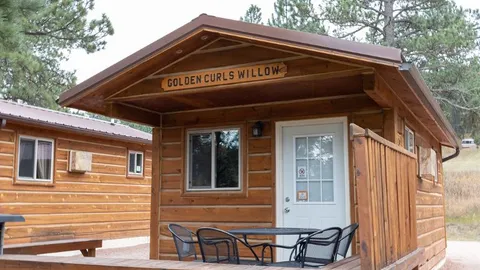 Standard Cabin - Sleeps 4-5 — image 1 of 7