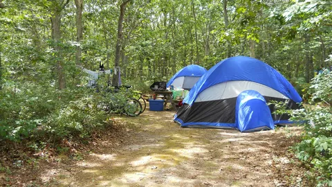 Prim Tent - Hortons — image 1 of 1
