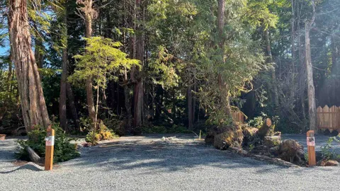 Old Growth Loop — image 1 of 23
