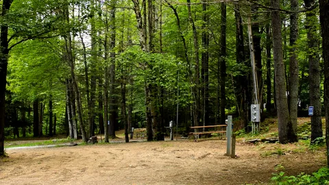 Deluxe Back-In RV Site — image 2 of 11