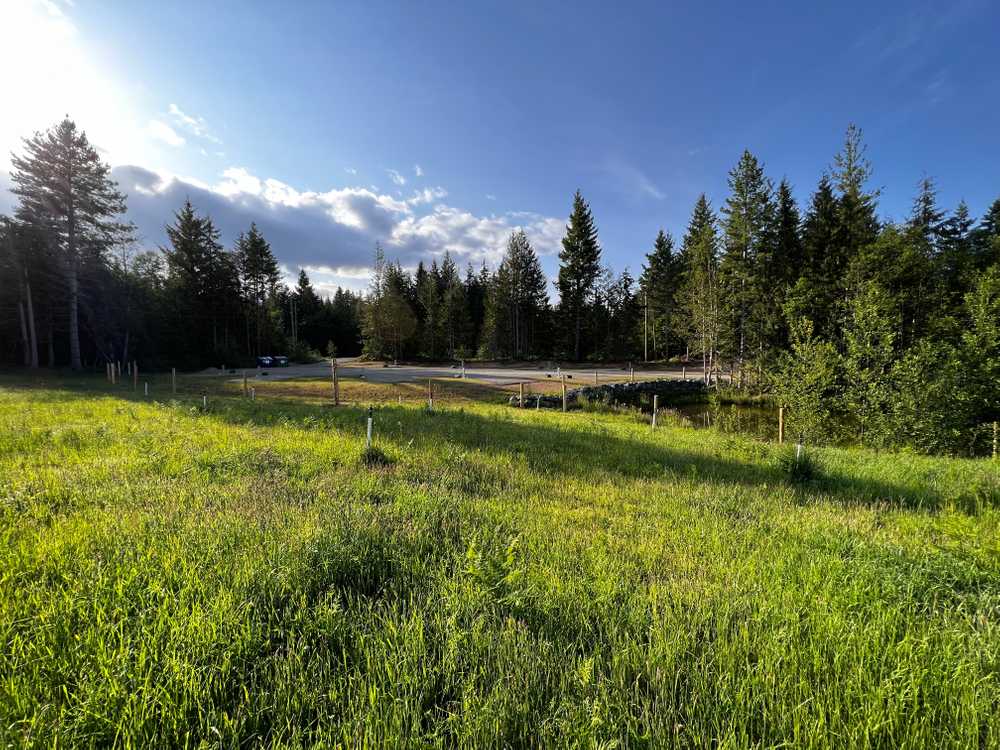 Lily Pond RV - Photo 4
