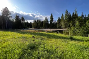 Lily Pond RV – photo 4