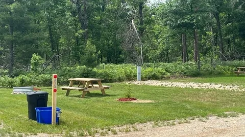 30/50 Amp Standard Back-in RV Site - ELECTRIC ONLY / NO WATER HOOKUP — image 7 of 7