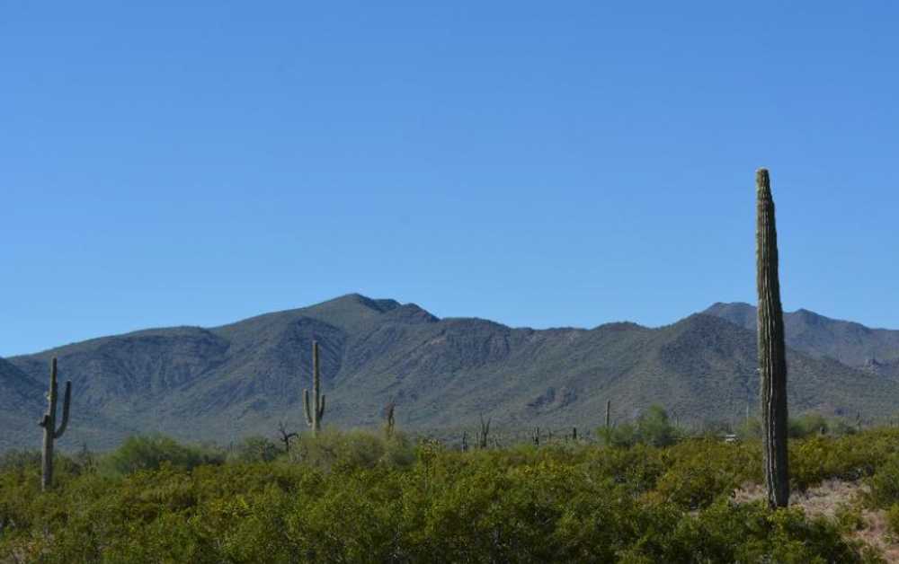 West Pinal Park - Photo 2