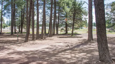 No Hookup RV Site — image 1 of 3