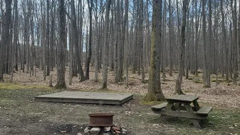 Primitive Tent Site — image 2 of 3