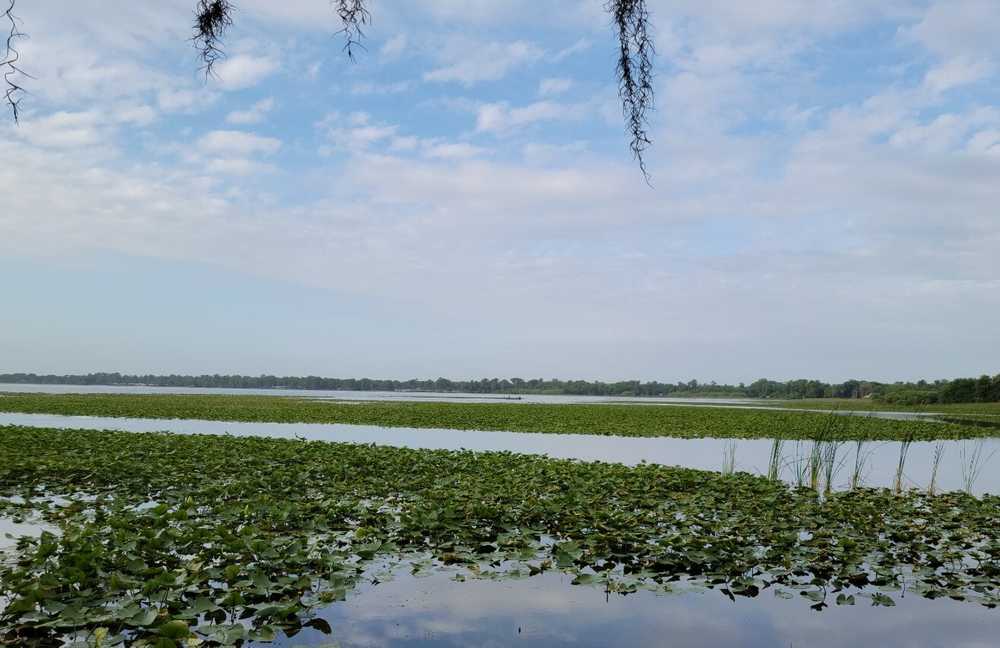 Cherry Pocket Fish Camp - Lake Wales, Florida - Campspot