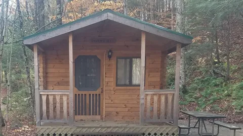 Cabin- One Room, Wooded — image 2 of 10