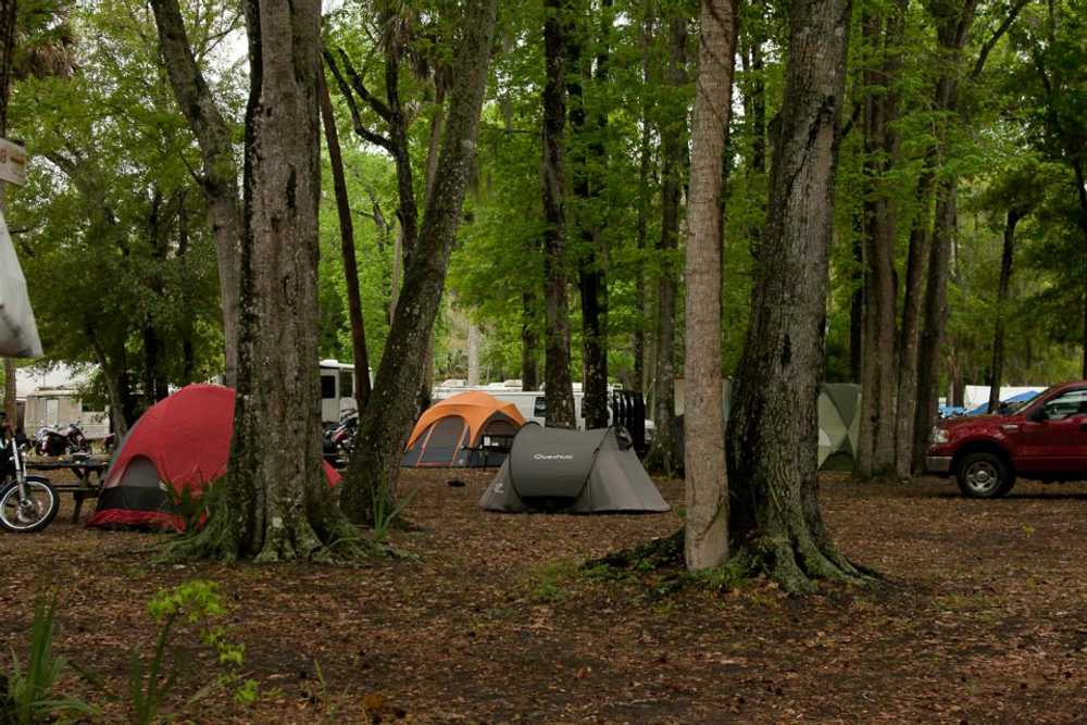 Nova Family Campground - Photo 3