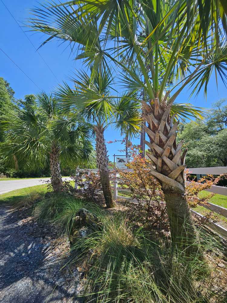 Manatee Springs RV Park, Chiefland, Florida - Photo 2
