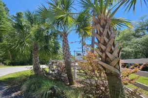 Manatee Springs RV Park – photo 2