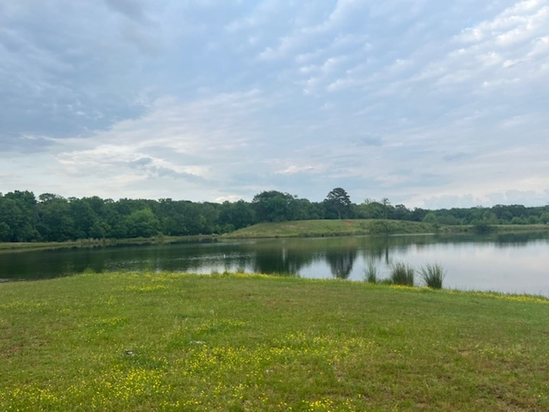 Edens RV Resort, Pottsville, Arkansas