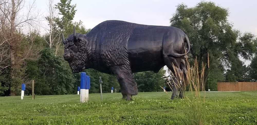 Buffalo Run RV Park - Photo 2