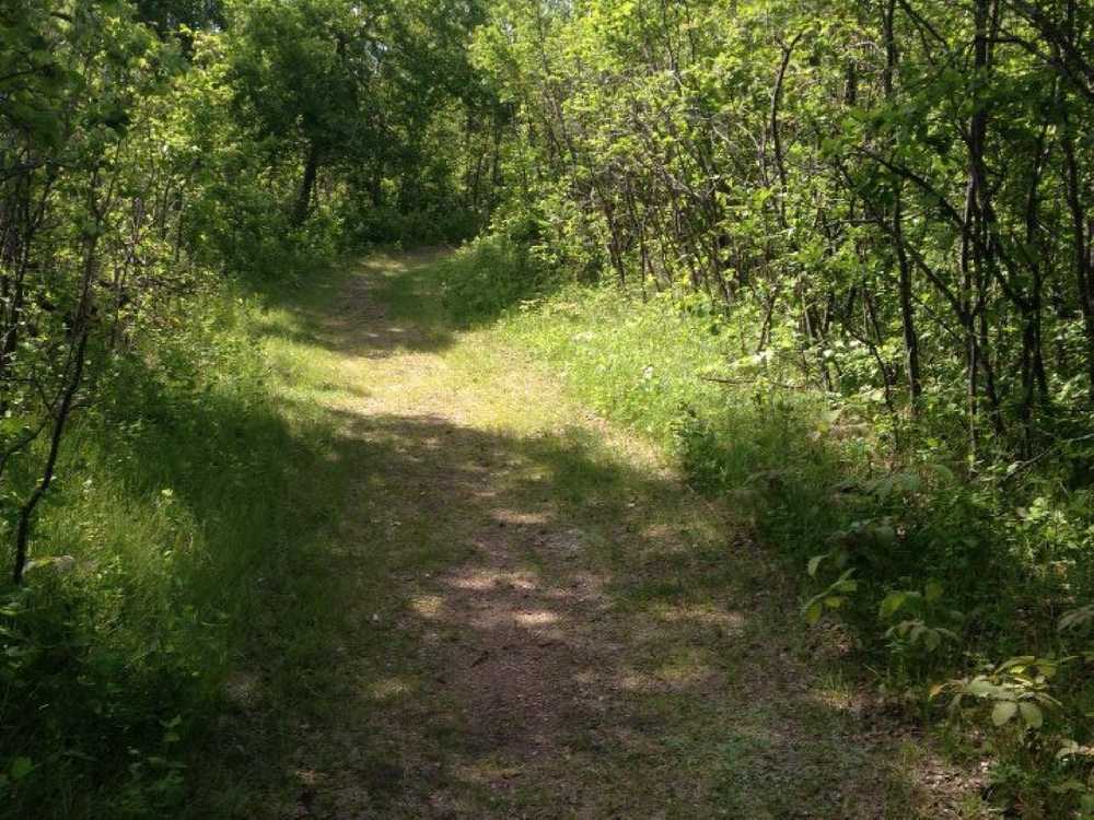 Park Image 6