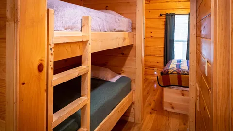 Pine Forest Cabin — image 2 of 23