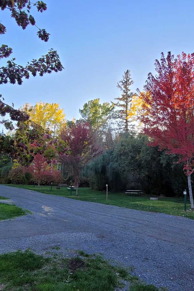 Park Image 7
