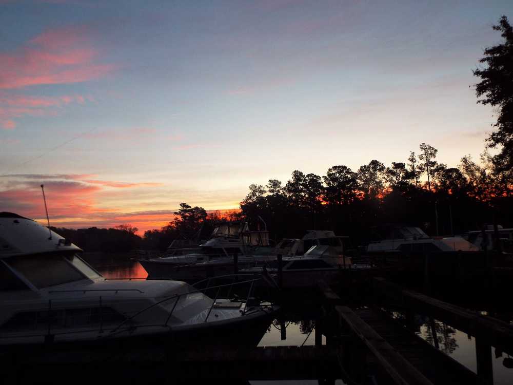 Bells Marina & Resort Eutawville, South Carolina Campspot