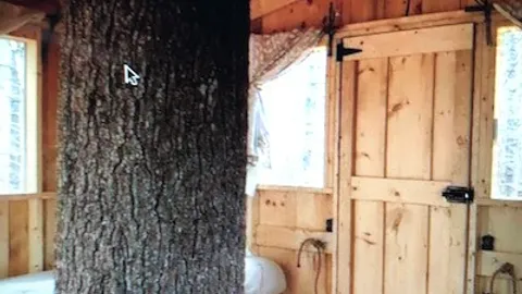 Treehouse — image 3 of 3
