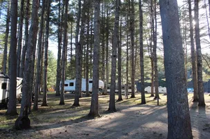 Glen Hudson Campground – photo 3