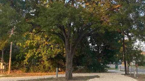 Shaded Premium Pull-Through RV Site — image 1 of 1