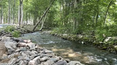 Deluxe Creek RV Site — image 1 of 8