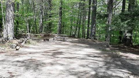 Primitive Tent Site — image 2 of 2