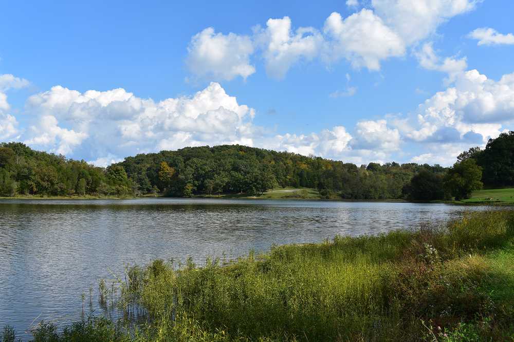 AJ Jolly Park & Campground - Main Photo