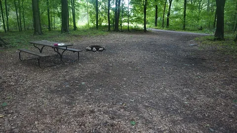 Non-Electric RV Site — image 1 of 8