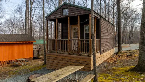 Mountain View Cabin w/loft — image 5 of 5