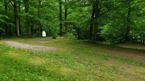 Full Hook-Up Back-In RV Site — image 3 of 3