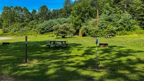 Non-Electric Grass — image 5 of 5