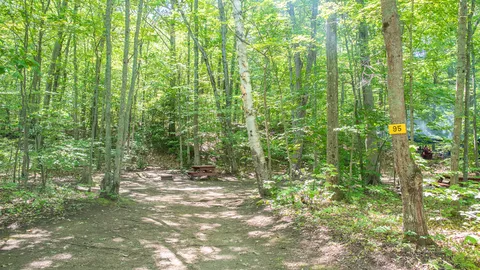 Primitive Tent Sites — image 1 of 5