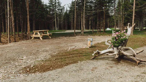30 Amp RV Full Service Site — image 2 of 5