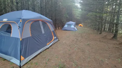 Sway Camps — image 1 of 2