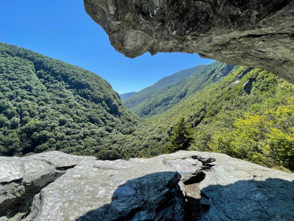 Park Image 6
