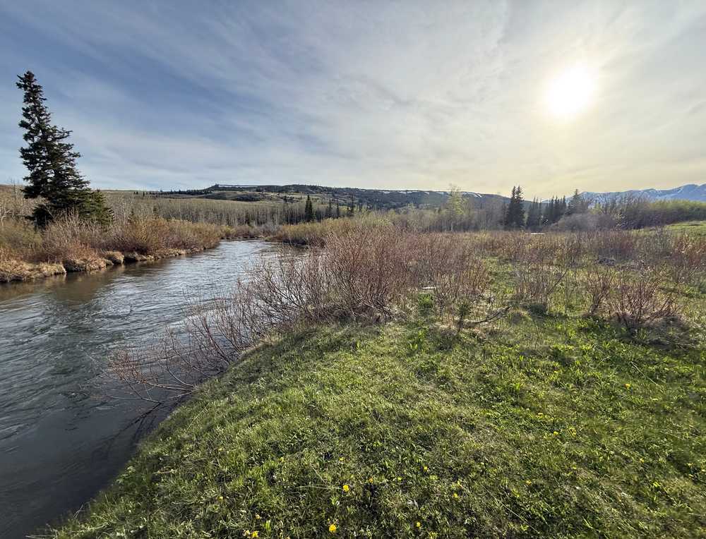 Glacier Grizzly RV Resort & Adventure - Starr School, MT - Photo 2