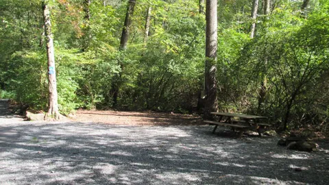 Tent / Pop-up Site — image 1 of 1