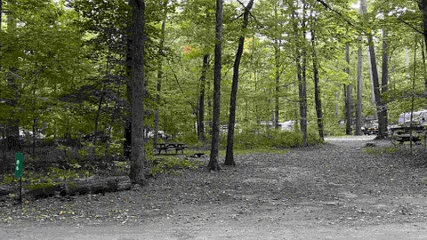 Tent / No Forest Amenity RV Site - 10 Person Maximum — image 10 of 10