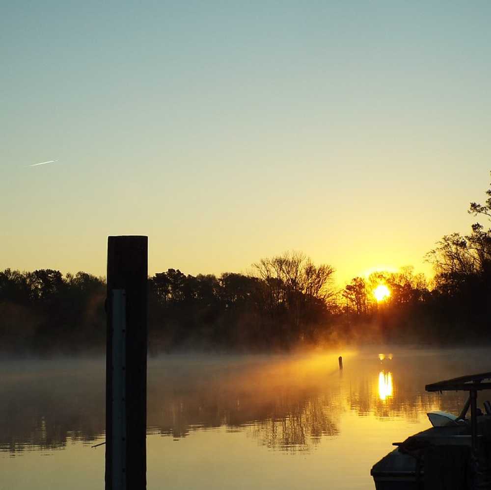Bells Marina & Resort Eutawville, South Carolina Campspot
