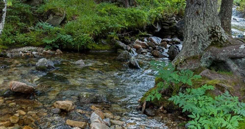 Nantahala RV Resort & Campground - Photo 5