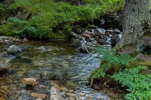 Nantahala RV Resort & Campground – photo 5