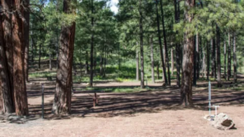 Water & Sewer RV Site — image 2 of 3