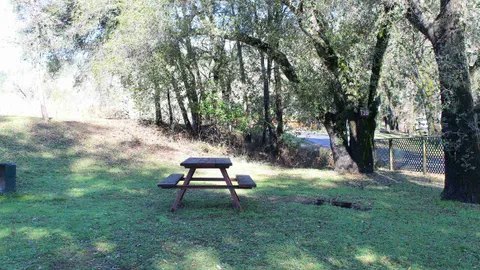 Primitive Tent Site — image 8 of 8