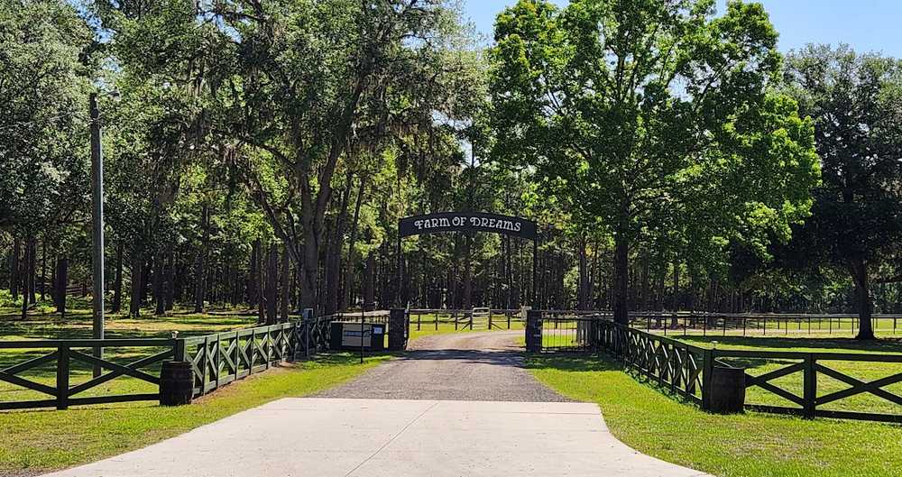 Park Image 6